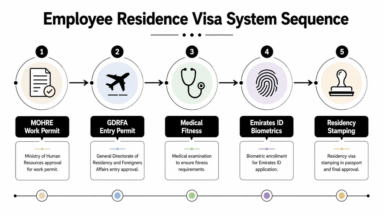 A five-step flowchart illustrating the standard Employee Residence Visa process in the United Arab Emirates.