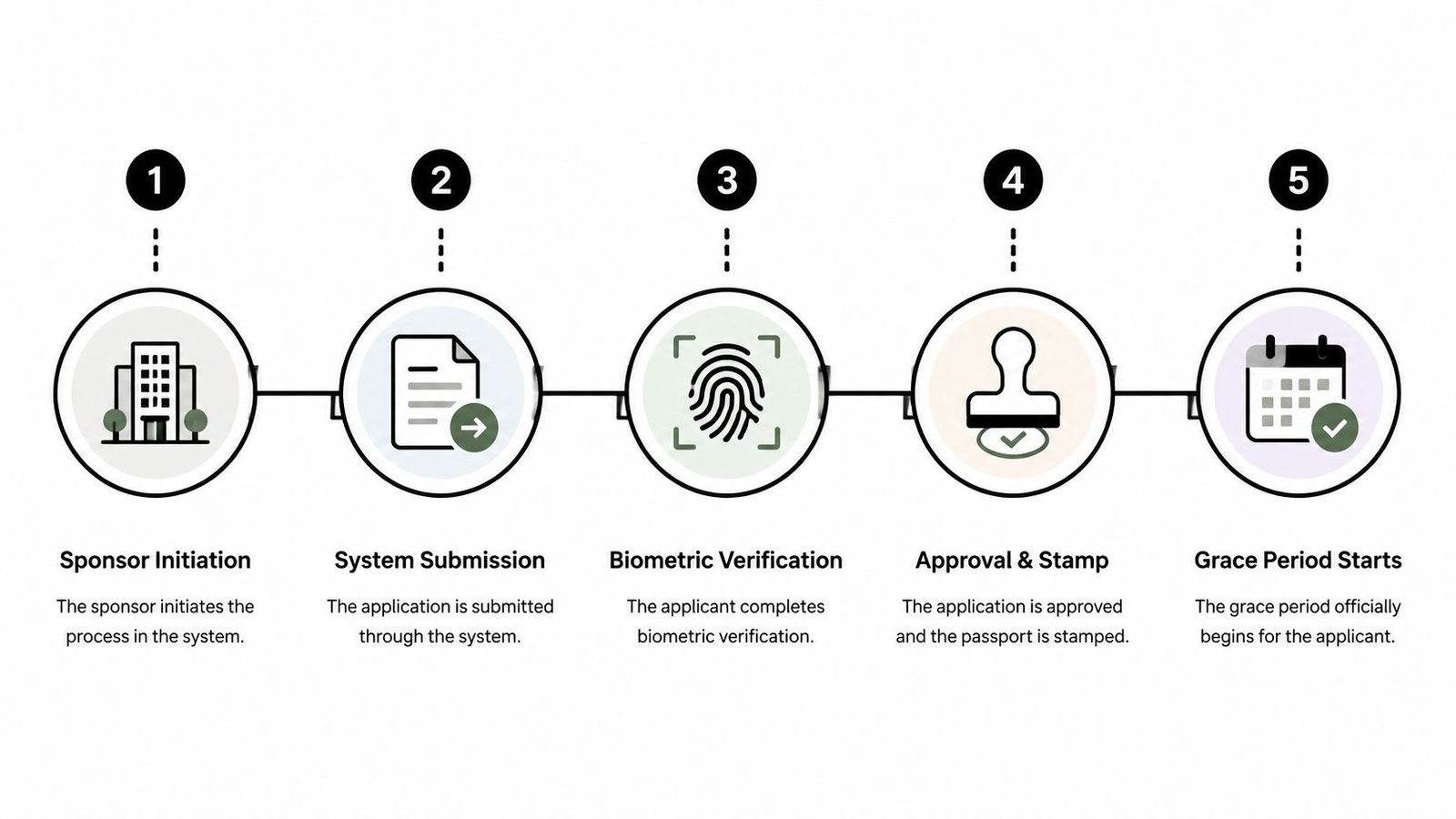 A five-step infographic showing the visa cancellation process from sponsor initiation to the grace period starting.